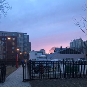 Meet your Posher, Grace